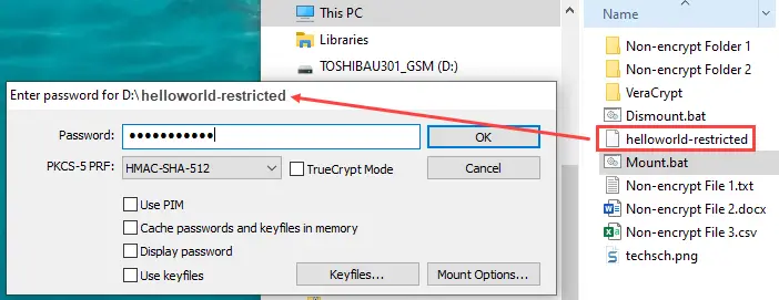 VeraCrypt mount dismount batch files